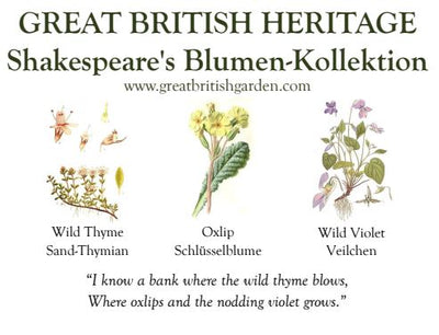 Wildblumen Kollektionen