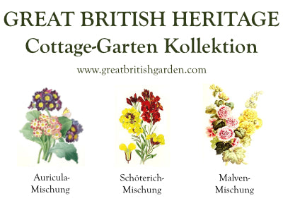 Wildblumen Kollektionen