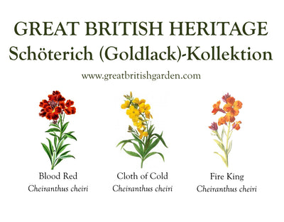 Wildblumen Kollektionen