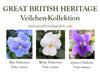 Wildblumen Kollektionen
