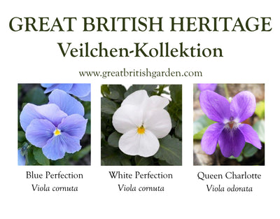 Wildblumen Kollektionen
