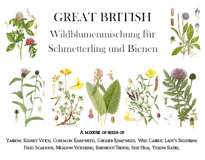 Wildblumen Kollektionen